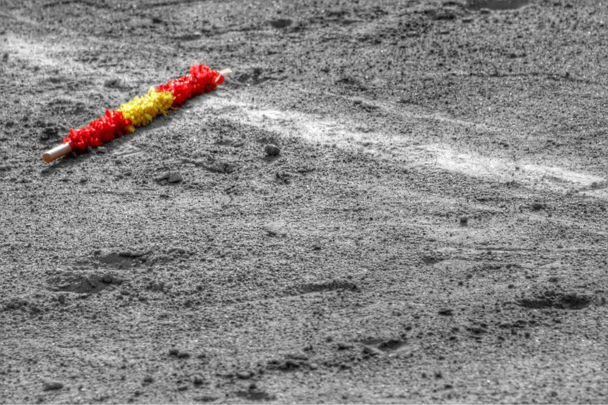 Feliz día de la tauromaquia