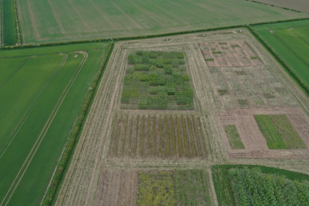 Biomass Connect (@biomassconnect) on Twitter photo 🚁 Aerial views of our <a href="/BiomassConnect/">Biomass Connect</a> site at Headley Hall!
Captured during #TransitionLive by Ben Flannery, these drone shots show Miscanthus, Poplar & more...
📸 See the photos 👉 loom.ly/QhA5riM
#DroneFootage #BiomassCrops #FutureFarming #AgTech #SustainableAg 🚁 Aerial views of our <a href="/BiomassConnect/">Biomass Connect</a> site at Headley Hall!
Captured during #TransitionLive by Ben Flannery, these drone shots show Miscanthus, Poplar & more...
📸 See the photos 👉 loom.ly/QhA5riM
#DroneFootage #BiomassCrops #FutureFarming #AgTech #SustainableAg