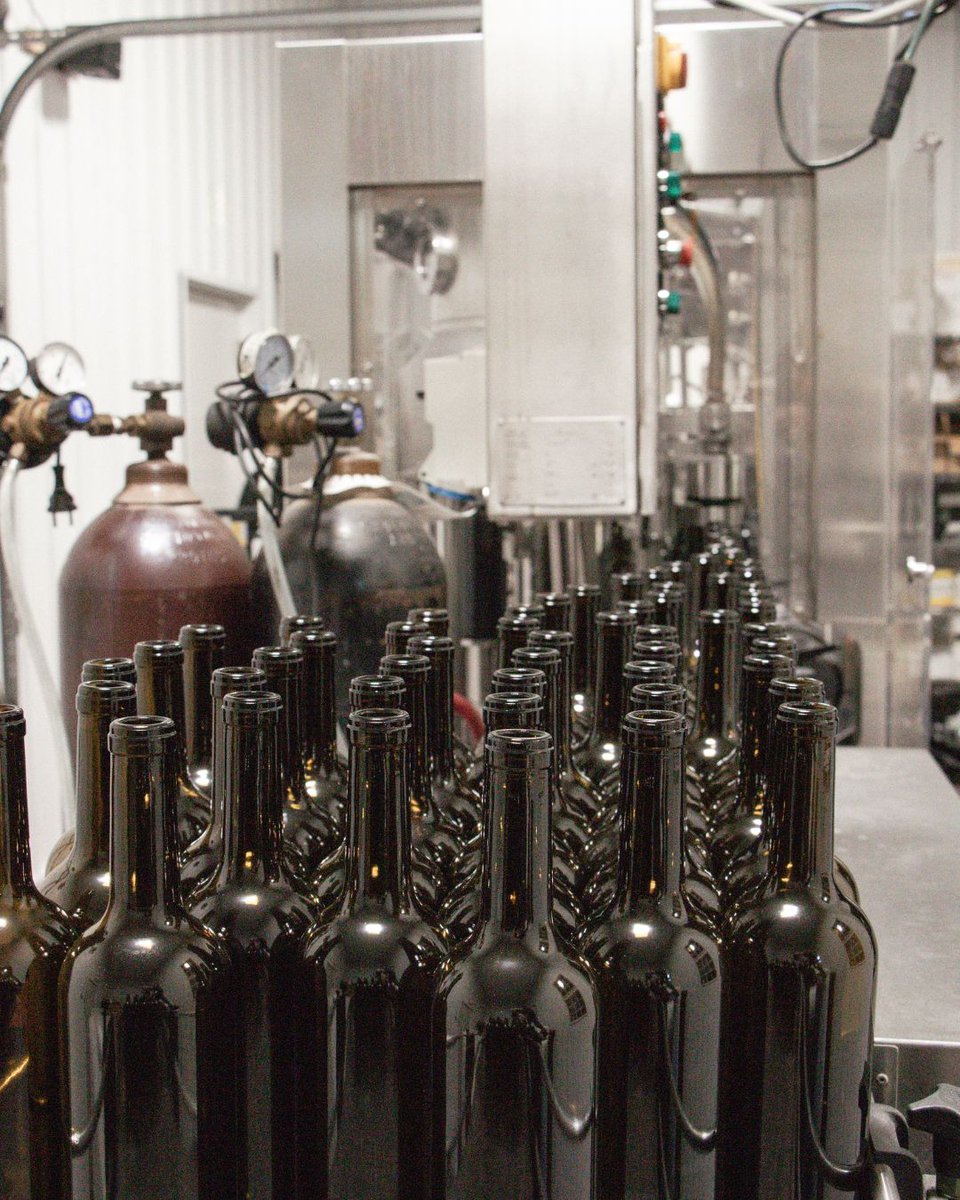 StonesThrowWine's tweet photo. The bottling of our latest Petite Verdot. https://t.co/Rg9KBtO2kH
