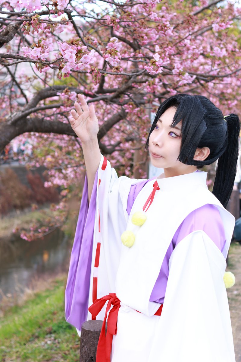 【逃げ上手の若君】北条時行 
 
託された思いを胸に――

河津桜の花言葉
「思いを託します」

Photo：友紀様
 #アコスタ松戸