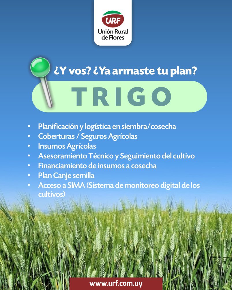 🌾 ¿𝗬 𝘃𝗼𝘀? ¿𝗬𝗮 𝗮𝗿𝗺𝗮𝘀𝘁𝗲 𝘁𝘂 𝗽𝗹𝗮𝗻 𝗱𝗲 𝘁𝗿𝗶𝗴𝗼?
En URF te damos respaldo en cada etapa del cultivo.
📍 Planificación, cobertura, insumos, asesoramiento técnico, financiamiento y tecnología para que tu campaña sea más eficiente y rentable.

Contactá a nuestros