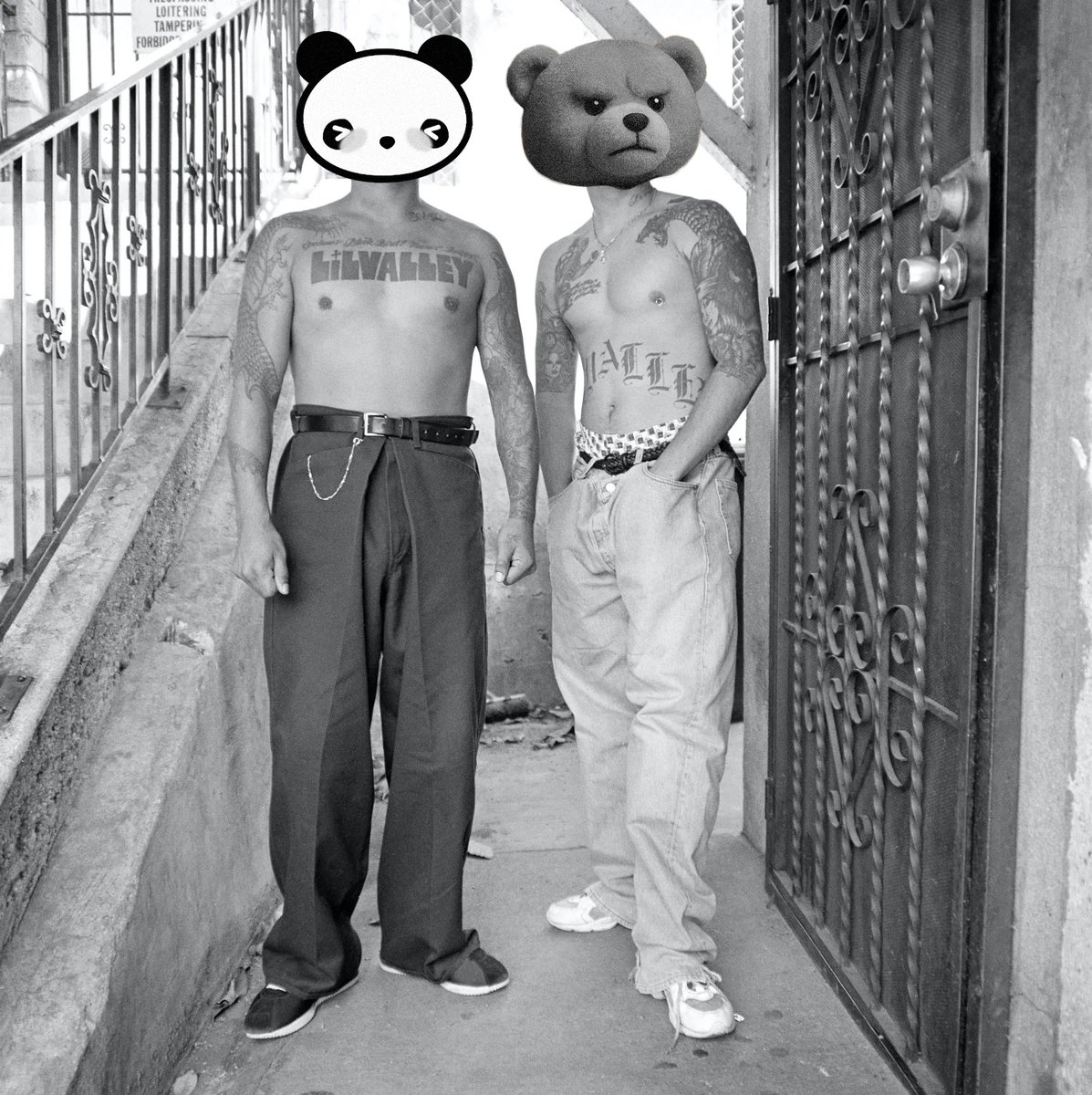 The <a href="/basednetpanda/">based•internet•panda (BIP) 熊猫</a> &amp; <a href="/btcbrobear/">BITCOIN•BRO•BEAR | $BRO 🐻</a> ready for Friday night.

Where my $BRO's and $BIP's at?