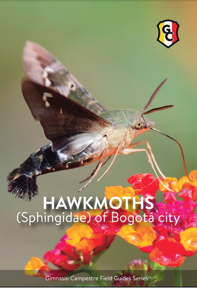 Yenny Correa-Carmona 🦋 tweet media