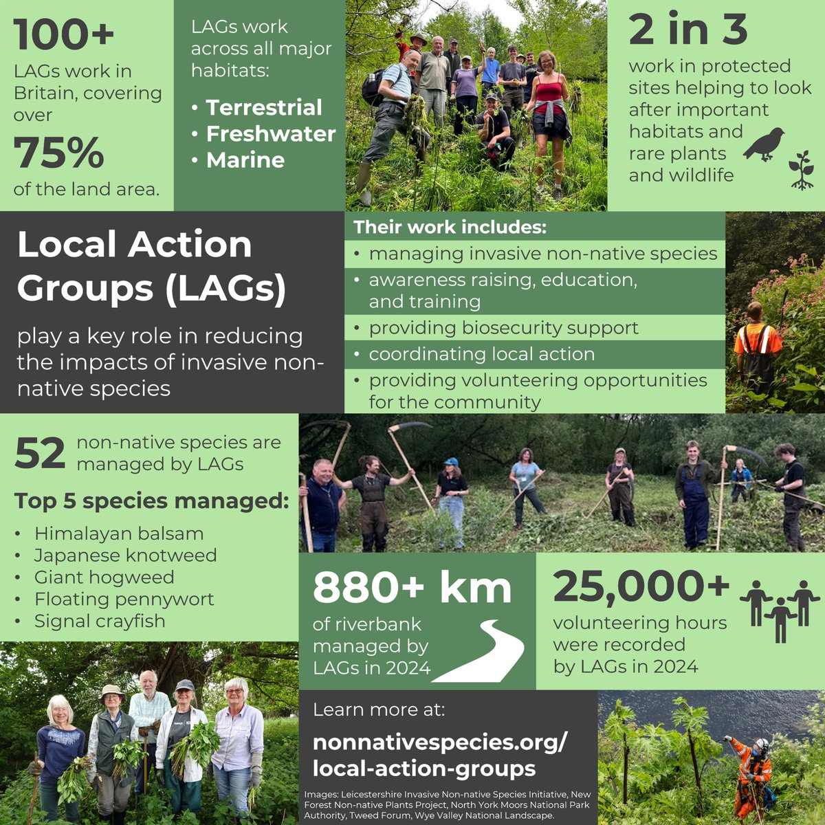 Local Action Groups across Britain are working to protect their local environment s by tackling invasive non-native species.

If you enjoy spending time outdoors, why not join them?

Find out more 👇 nonnativespecies.org/invasivespecie… #Invasivespecies #INNS