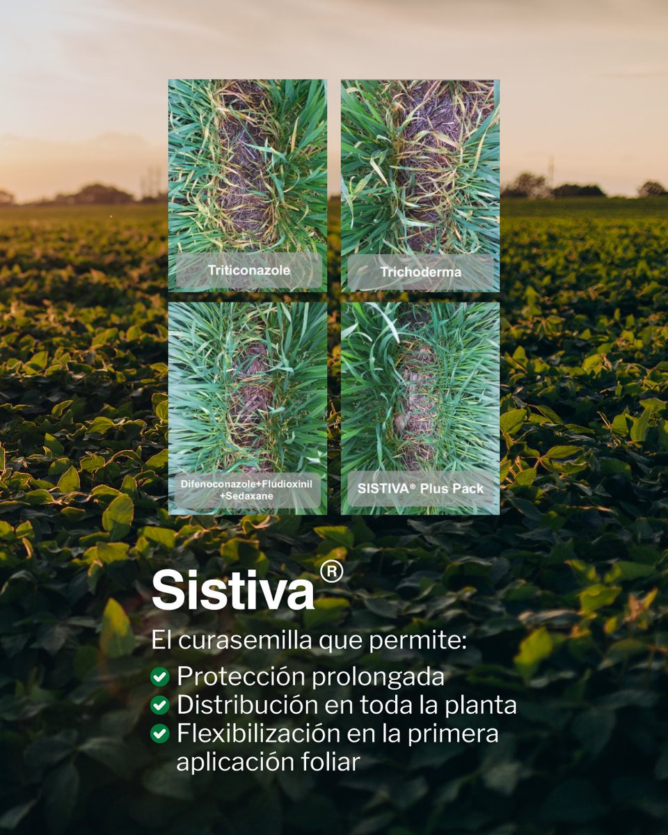 Ortega Hermanos (@ortegahermanos) on Twitter photo ¡Sembrá con los ojos cerrados!😌
Usá <a href="/BASF_Agro_ARG/">BASF Agro Argentina</a> #Sistiva y obtené protección prolongada contra las enfermedades hasta 45 días.
Comunicate y te cotizamos
📲(3534) 236367
💻info@ortegahermanos.com.ar
🌐ortegahermanos.com.ar
#Ortega #OrtegaHermanos #Campo #InsumosAgrícolas ¡Sembrá con los ojos cerrados!😌
Usá <a href="/BASF_Agro_ARG/">BASF Agro Argentina</a> #Sistiva y obtené protección prolongada contra las enfermedades hasta 45 días.
Comunicate y te cotizamos
📲(3534) 236367
💻info@ortegahermanos.com.ar
🌐ortegahermanos.com.ar
#Ortega #OrtegaHermanos #Campo #InsumosAgrícolas