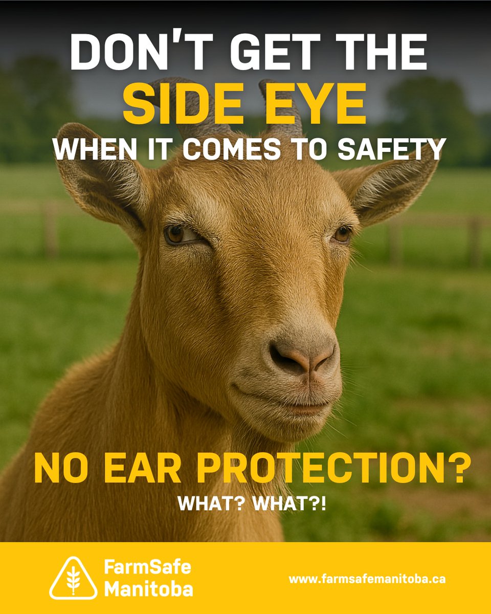 Loud machinery can cause permanent hearing loss. Protect your ears before ‘WHAT?!’ becomes your new catchphrase.