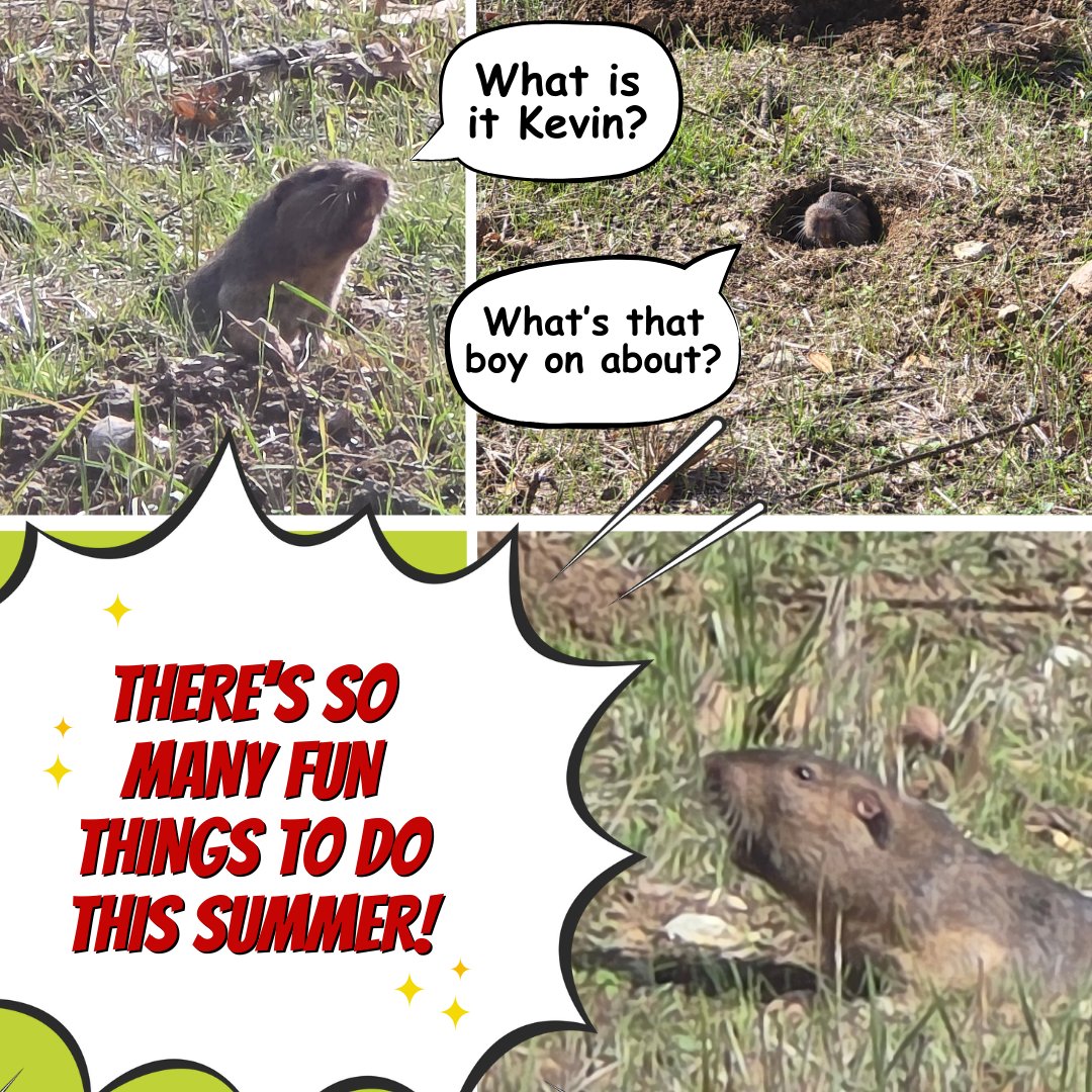 SamoFund's tweet photo. SAMO Fund has events, activities, and volunteer opportunities all year round on both weekends and weekdays, day and night.
Go to https://t.co/ojFLorgswT to see a full list of things to do across the Santa Monica Mountains.
#summerfun #samofund https://t.co/eWvPg2U35g