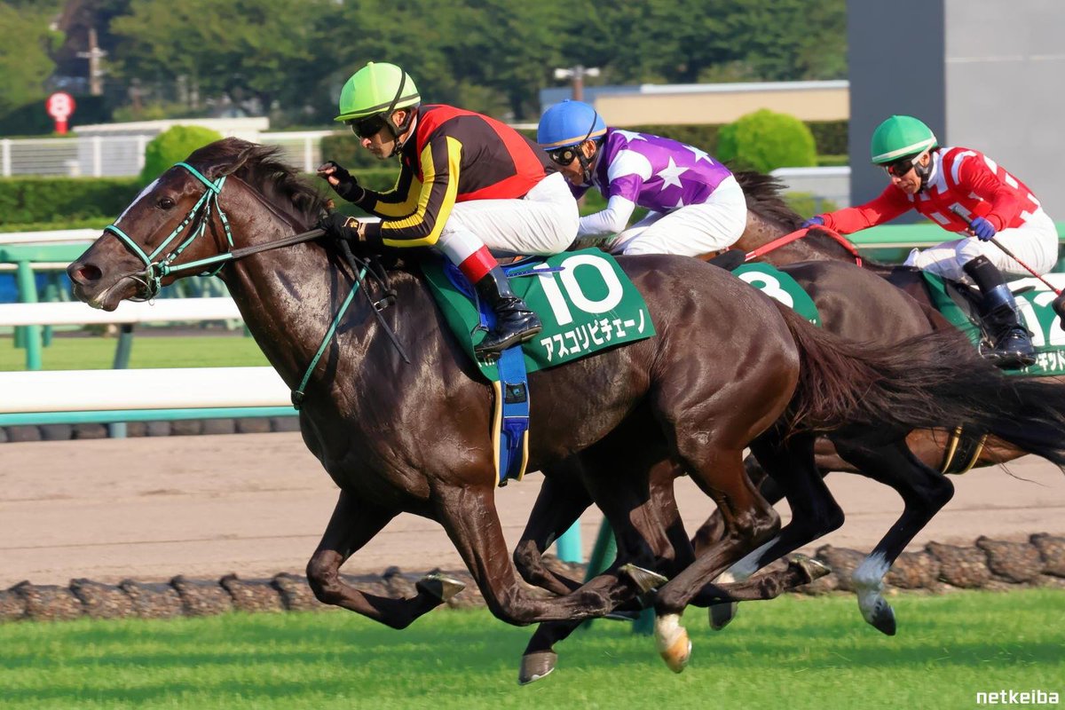 TCJockeyClub's tweet photo. Our Co-Producer #TheDrDreOfHorseRacing Christophe Lemaire rides @ #TokyoRacecourse & has 14 mounts this weekend including THE VICTORIA MILE (G1) aboard Ascoli Piceno(JPN)
We will be watching on #TVG via @FanDuel_Racing
1st two📸from @netkeiba
plus
Our @zed_champions version🔥 https://t.co/jTtrnpRC5H