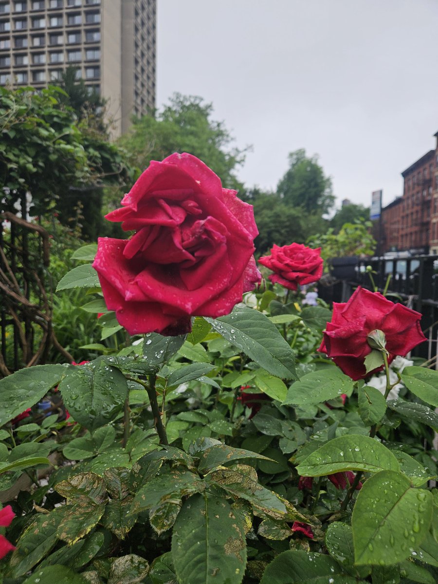 Happy Friday from my very rainy neck of the woods. 🍻 to the weekend.