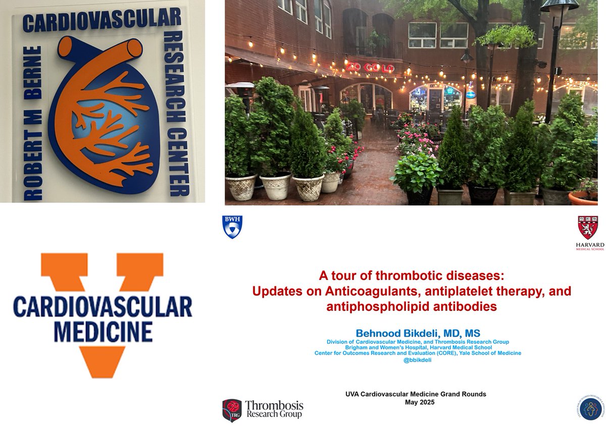 Behnood Bikdeli (@bbikdeli) on Twitter photo Thanks so much <a href="/CardioUva/">UVA Cardio</a> for the opportunity to visit for #CV GrandRounds. Wonderful connecting w old friends, making new ones, & connecting w <a href="/UVACardsFellows/">UVA Cardiology Fellowship</a>. Look forward to further collaborations. Despite the ⛈️, Zocalo was awesome!😄<a href="/ChrisKramerMD/">Christopher Kramer MD</a> <a href="/AbbateAntonio/">AntonioAbbate</a> Thanks so much <a href="/CardioUva/">UVA Cardio</a> for the opportunity to visit for #CV GrandRounds. Wonderful connecting w old friends, making new ones, & connecting w <a href="/UVACardsFellows/">UVA Cardiology Fellowship</a>. Look forward to further collaborations. Despite the ⛈️, Zocalo was awesome!😄<a href="/ChrisKramerMD/">Christopher Kramer MD</a> <a href="/AbbateAntonio/">AntonioAbbate</a>