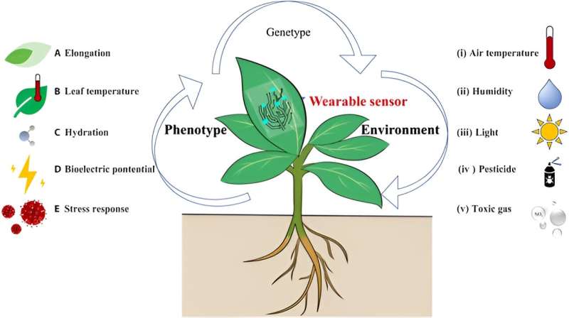 OCTICuba's tweet photo. Sensores, técnicas y aplicaciones de imágenes  basadas en drones en el fenotipado de plantas para el mejoramiento de  cultivos: una revisión exhaustiva.

https://t.co/4zJpqTWKpo

#cienciaparatodos
#OCTI
#Cuba https://t.co/2cUJcsaOgu