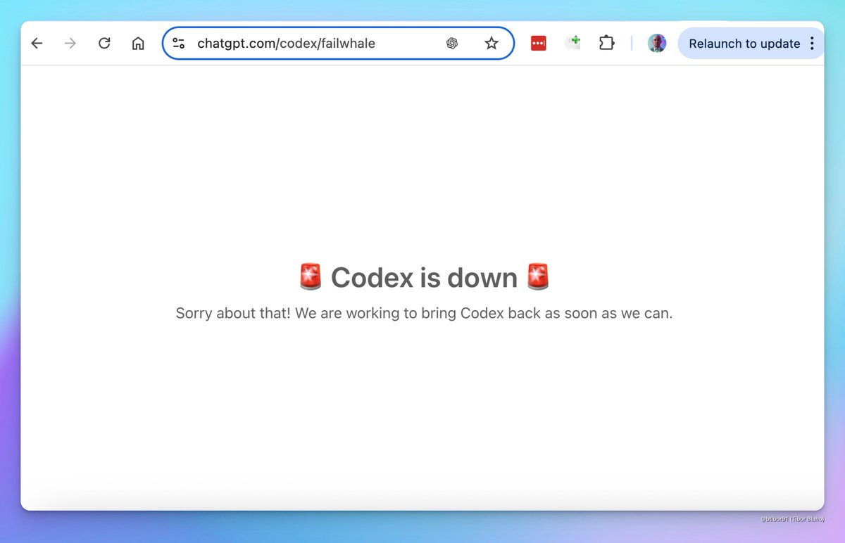 Tibor Blaho tweet media