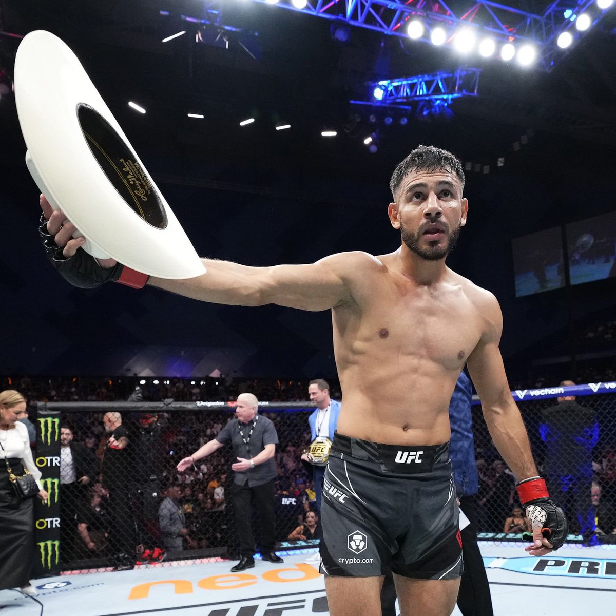 Johnston for 6⚡️🌸🐾 tweet media