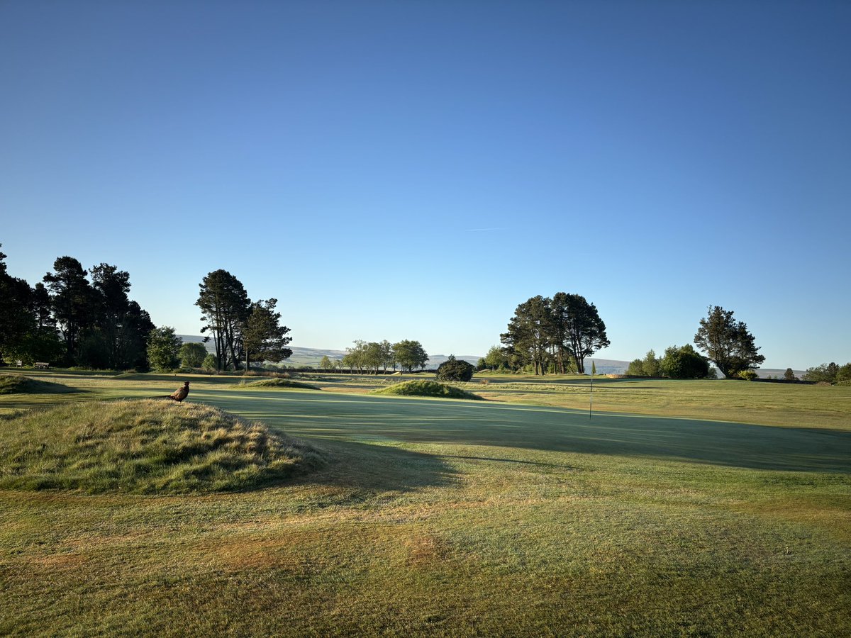 Long may this weather continue (but an odd shower in an evening would be nice)☀️