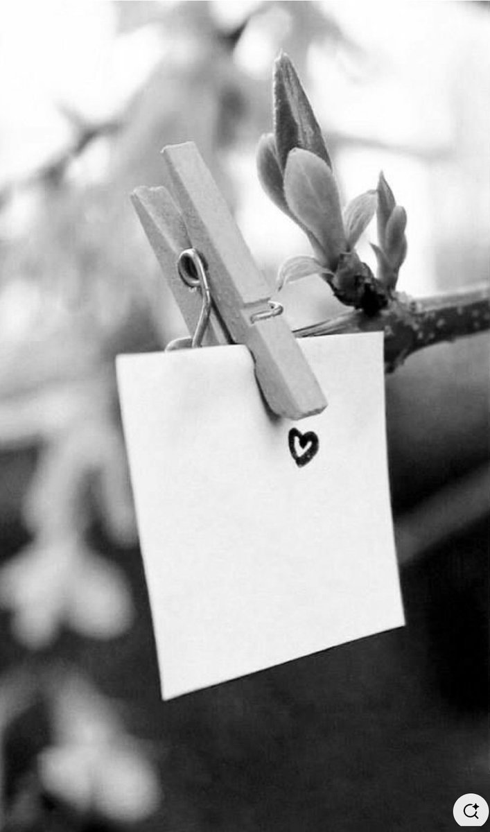 Hyvä viikonloppua kaikille! 🌳