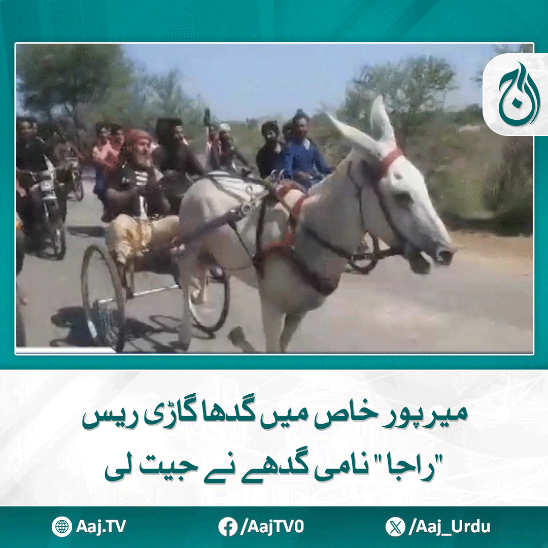 Aaj_Urdu's tweet photo. سندھ حکومت محکمہ کھیل کی جانب سے ریس جیتنے والی ٹیمز کو نقد انعامات اور سرٹیفیکیس تقسیم کیے گئے
https://t.co/bUhZrp2ZAl
#AajNews #MirPurKhas #donkeycartrace #rajadonkey #uniquerace #localevent https://t.co/riz2NcBYLw