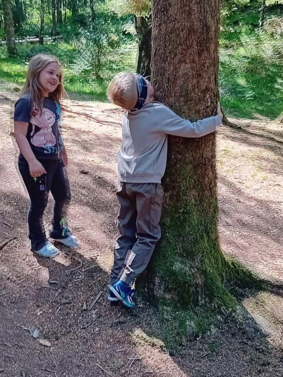 Today Class 3 visited a temperate rainforest in the Rusland Valley. They learned about the features of a temperate rainforest and used a hand lens to investigate mosses and lichens. The only thing missing was the rain (which we were all pleased about!)☀️ #ConistonCEPrimaryclass3