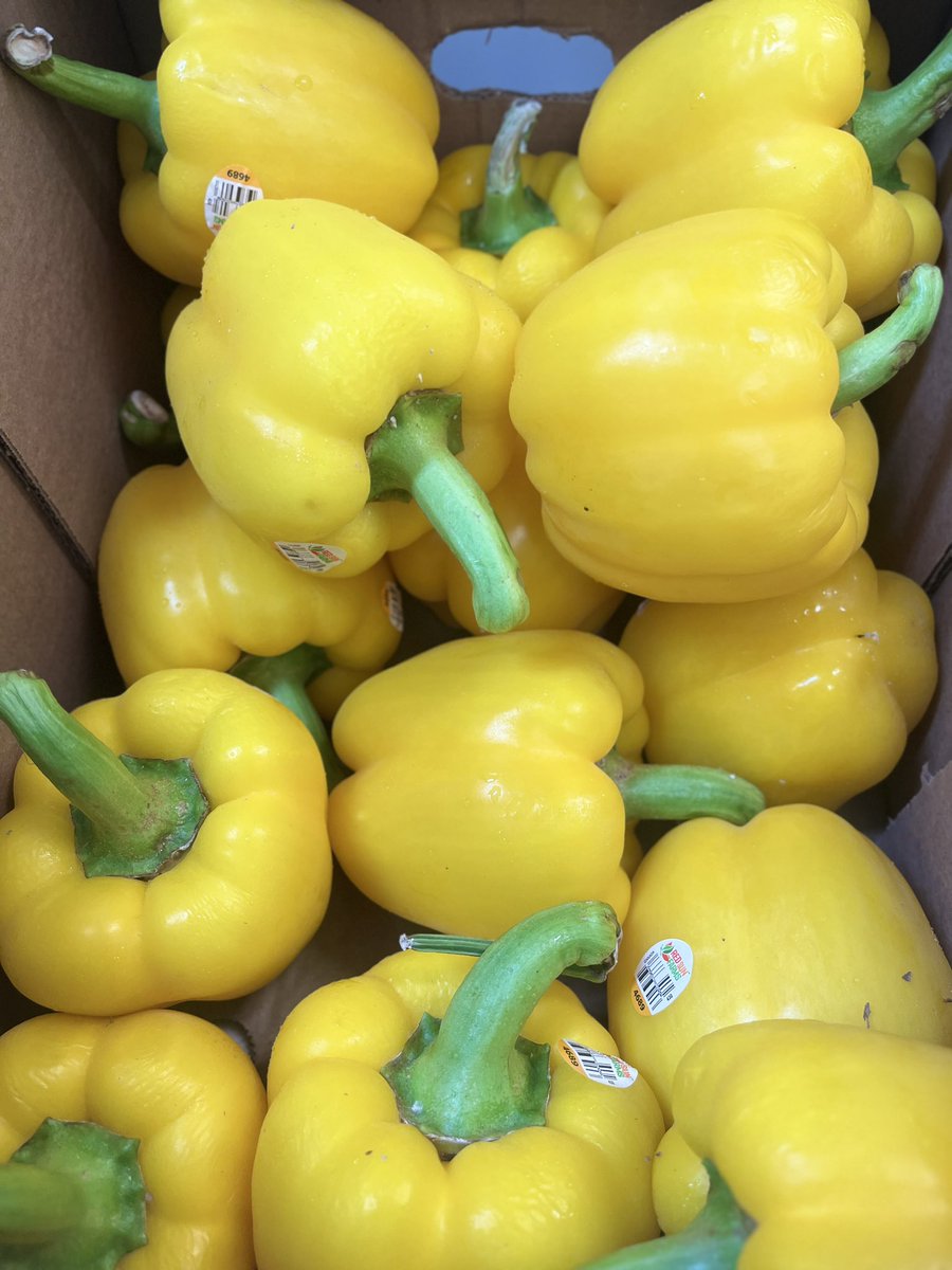 It’s #BodegaFriday! Watermelons, greens, squash, and peppers on deck. Serving our community with nourishing fruits and veggies 🫑🍉🥬 #yourcityyourpalante #foodinsecurity #nonprofit #nonprofitorganization