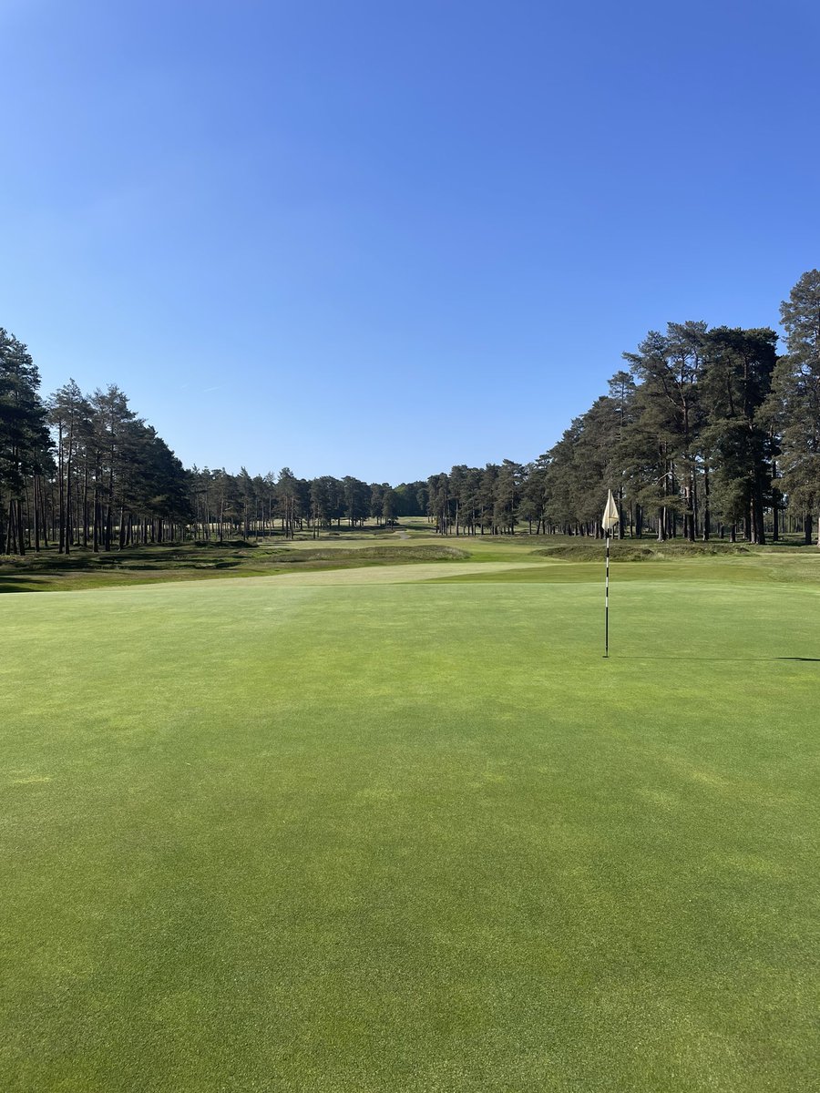 Tony Stephen tweet media