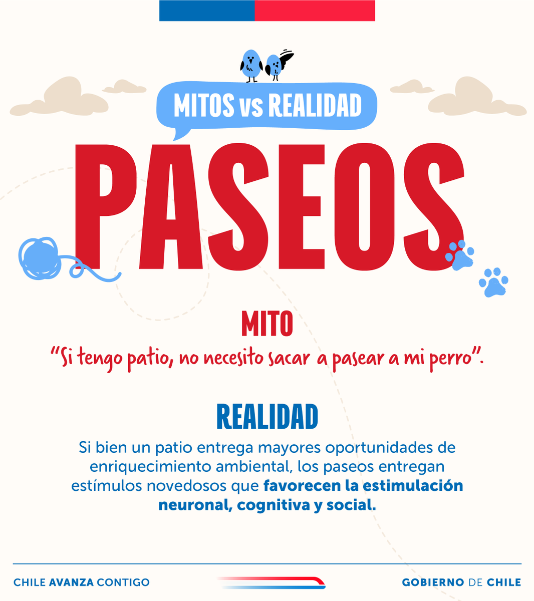 Subdere_Aysen's tweet photo. ¿Tienes mascotas? Entonces seguro has escuchado este mito sobre sus paseos 🐈‍⬛🐕.
✨ Recuerda: Los paseos diarios no son solo para que hagan sus necesidades. También son clave para su salud, enriquecimiento sensorial y, además, fortalecen ese vínculo único que tienen contigo 💞 https://t.co/GGFMfmKRrY