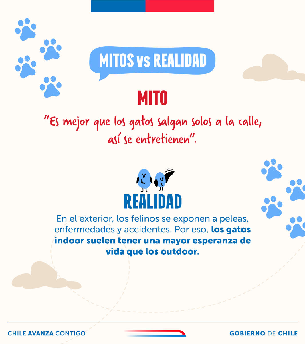 Subdere_Aysen's tweet photo. ¿Tienes mascotas? Entonces seguro has escuchado este mito sobre sus paseos 🐈‍⬛🐕.
✨ Recuerda: Los paseos diarios no son solo para que hagan sus necesidades. También son clave para su salud, enriquecimiento sensorial y, además, fortalecen ese vínculo único que tienen contigo 💞 https://t.co/GGFMfmKRrY