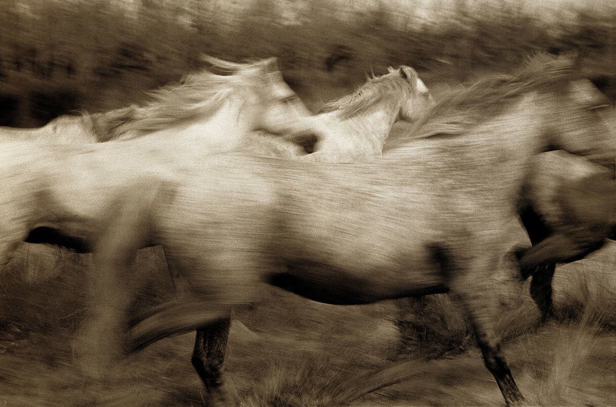 Murat_add2's tweet photo. Robert Farber
#robertfarber #photography https://t.co/Nd4eIrPETd