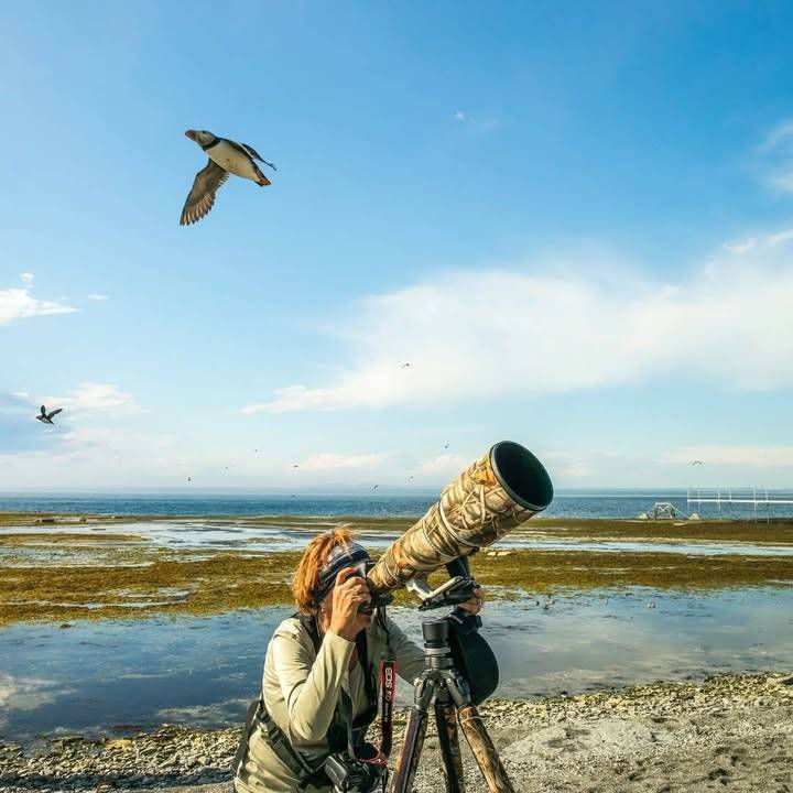 CanadaTunisia's tweet photo. π #DYK ? Canada is home to an incredible diversity of birds ! π¨π¦π¦
π² Parks Canada offers perfect places to observe them. Respect the wildlife and enjoy the spectacle!
#BirdsOfCanada
#Nature #Adventure https://t.co/tHUyfq3SHV