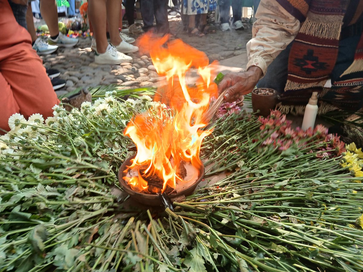 El rescate de las semillas criollas y nativas es parte de nuestras identidad como colectivo Micelio Suburbano estamos trabajamos en un santuario de semillas qué pueden nacer en la ciudad.