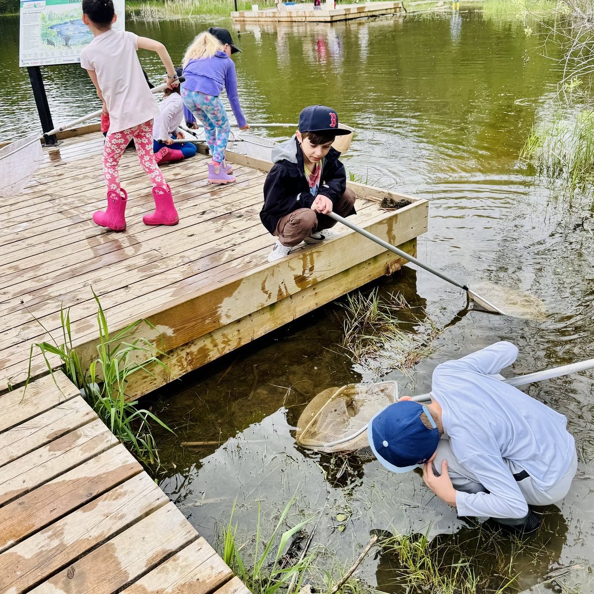 MrsWalkerOCSB's tweet image. Exciting day at Baxter Conservation Area for our grade 2 field trip ☀️🐸🐞
@StAnneOCSB @liannelogan10 @Ms_Matteucci
@RideauValleyCA
#nature #animals #outdoorEd #getoutdoors #baxter #rideauriver