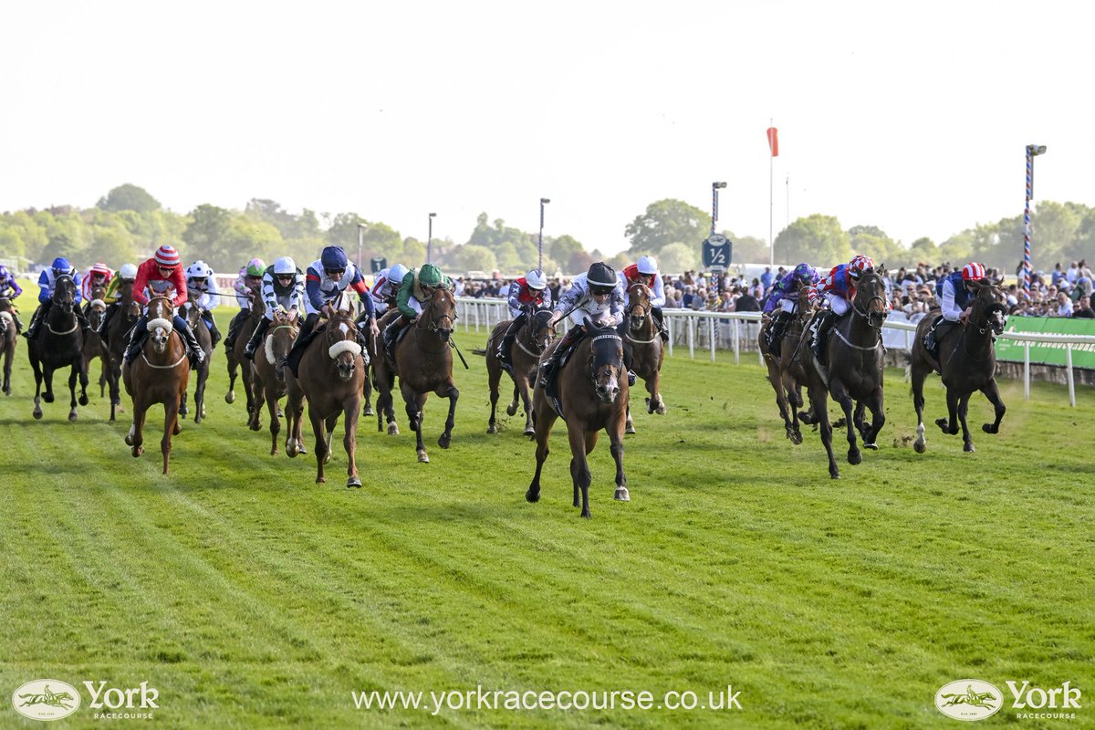 ITM (@irethoroughbred) on Twitter photo Glorius day at <a href="/yorkracecourse/">York Racecourse</a> where <a href="/Richspencer89/">Richard spencer</a> exciting prospect THE MAN (IRE) took the ITM Handicap under <a href="/DavidEgan99/">David Egan</a> for <a href="/RebelRacingLtd/">Rebel Racing</a>.🏆
3yo home-bred by <a href="/HoStud/">Tally-Ho Stud</a> Mehmas (IRE).🇮🇪
Productive day meeting Owners & Trainers ahead of <a href="/Tattersalls_ie/">Tattersalls Ireland</a> Breeze Up sale.🇬🇧🤝 Glorius day at <a href="/yorkracecourse/">York Racecourse</a> where <a href="/Richspencer89/">Richard spencer</a> exciting prospect THE MAN (IRE) took the ITM Handicap under <a href="/DavidEgan99/">David Egan</a> for <a href="/RebelRacingLtd/">Rebel Racing</a>.🏆
3yo home-bred by <a href="/HoStud/">Tally-Ho Stud</a> Mehmas (IRE).🇮🇪
Productive day meeting Owners & Trainers ahead of <a href="/Tattersalls_ie/">Tattersalls Ireland</a> Breeze Up sale.🇬🇧🤝