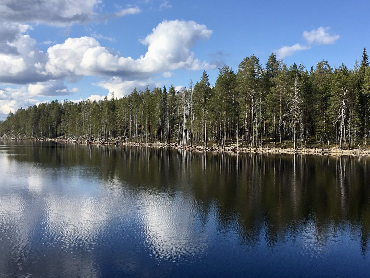 Matti Pitkäniitty (@mpitkaniitty) on Twitter photo Kesä lähestyy, kelirikko helpottaa, lumi hupenee ja partiomajoille tai niiden lähelle pääsee taas ilman suksia tai moottorikelkkaa. Itärajan kevät on täynnä linnun laulua ja heräävän luonnon ihmeitä. Nautitaan tästä ja ollaan samalla valmiina kaikkeen.
<a href="/PKarjalan_raja/">P-Karjalan raja</a> Kesä lähestyy, kelirikko helpottaa, lumi hupenee ja partiomajoille tai niiden lähelle pääsee taas ilman suksia tai moottorikelkkaa. Itärajan kevät on täynnä linnun laulua ja heräävän luonnon ihmeitä. Nautitaan tästä ja ollaan samalla valmiina kaikkeen.
<a href="/PKarjalan_raja/">P-Karjalan raja</a>