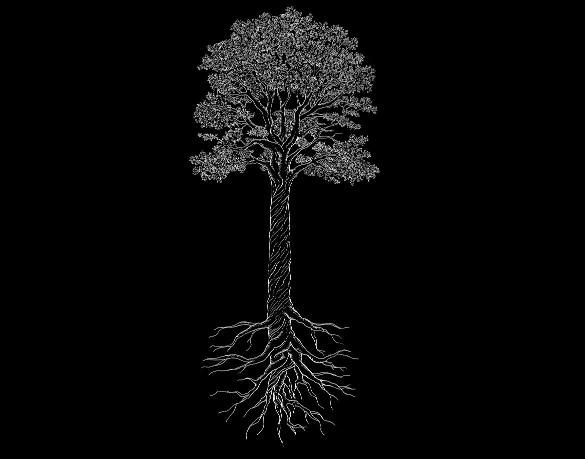 jackbrown5655's tweet photo. Drasil Clan | brand identity
For full project visit on my behance account 👇
https://t.co/EUgj67ImJm https://t.co/hYIem7gQc8