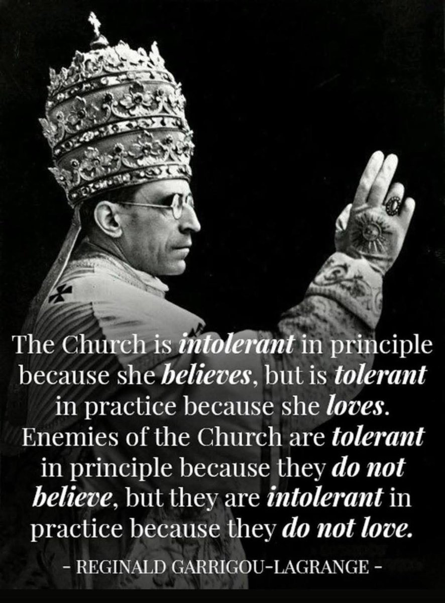 David Mark tweet media