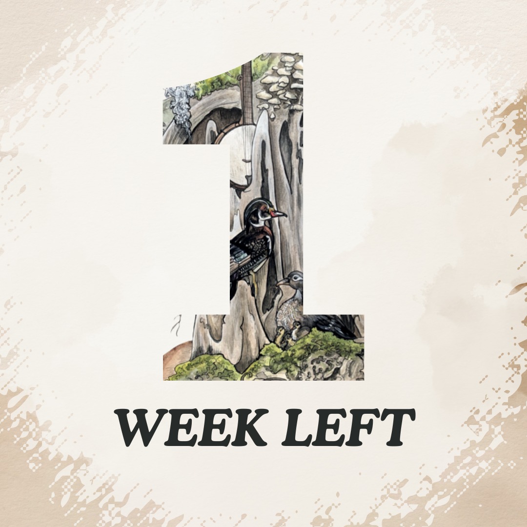 FloridaFolkFestival tweet media