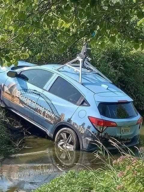 albornoz_mx's tweet photo. Parece que no fue en Acapulco, sino una aventura más de @FloridaManPig. https://t.co/Jib8YYNfHo