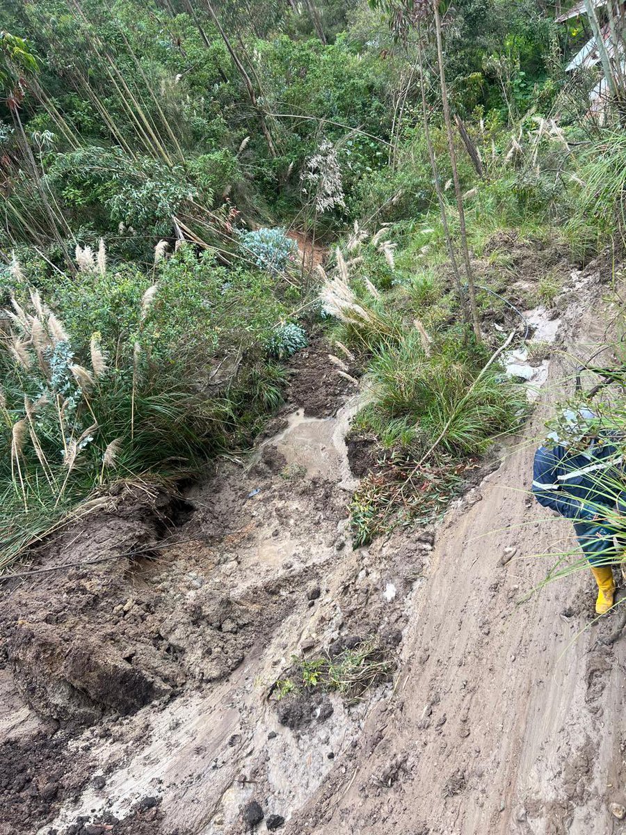 #accionesinmediatas lluvia 🌧️ 

📍 Sector Los Tubos del Tejar

👷🏻‍♂️ Técnicos analizaron un derrumbe puntual junto a vivienda en zona de pendiente. Sin afectación actual.