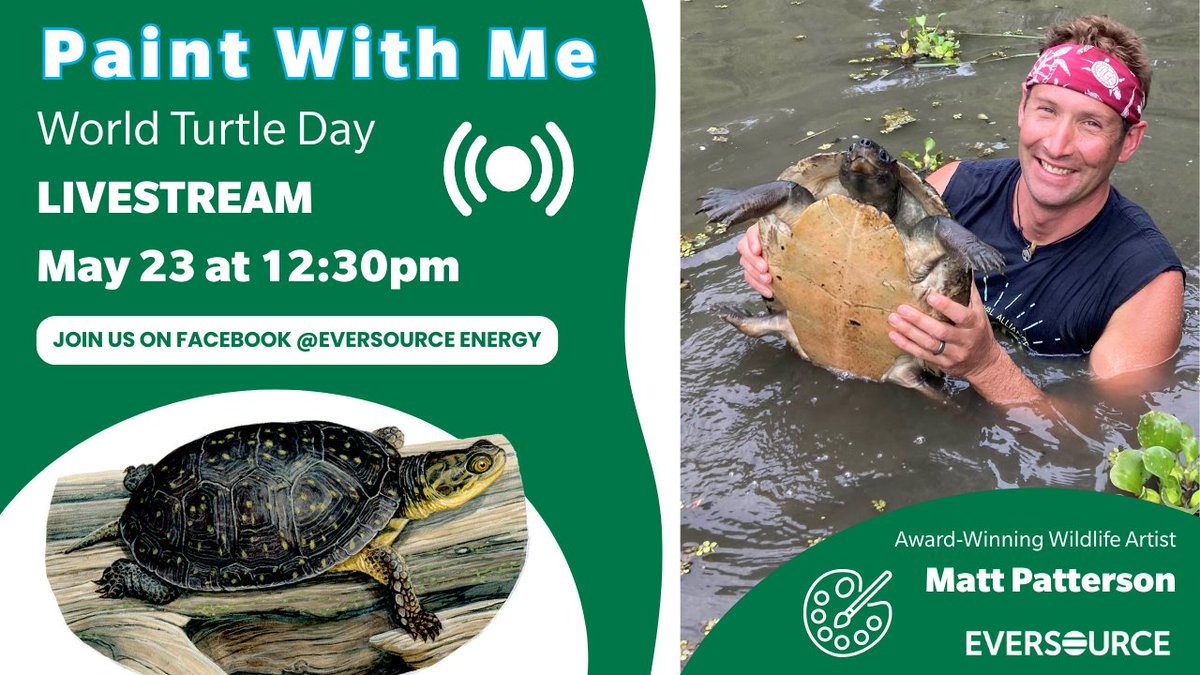 EversourceNH's tweet photo. 🎨🖌️ A week from today, award-winning wildlife artist Matt Patterson will join us live on Facebook to #shellebrate WorldTurtleDay! Find everything you need to paint the Blanding's Turtle featured in our new Herptiles Guide with Matt: https://t.co/wNTvqIGI4N https://t.co/7BwxK20wKW
