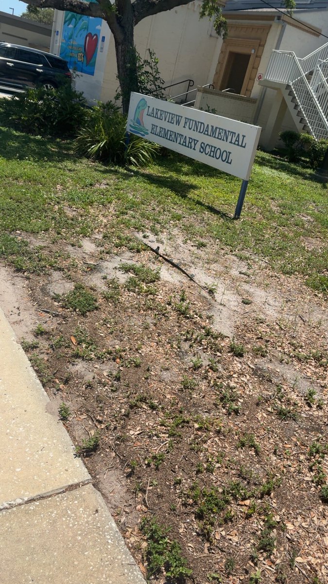 aj_hall23's tweet image. Always looking forward to giving back to the community and the ones who helped me on my journey🐬🤍 #GodIsTheGreatest #Blessings