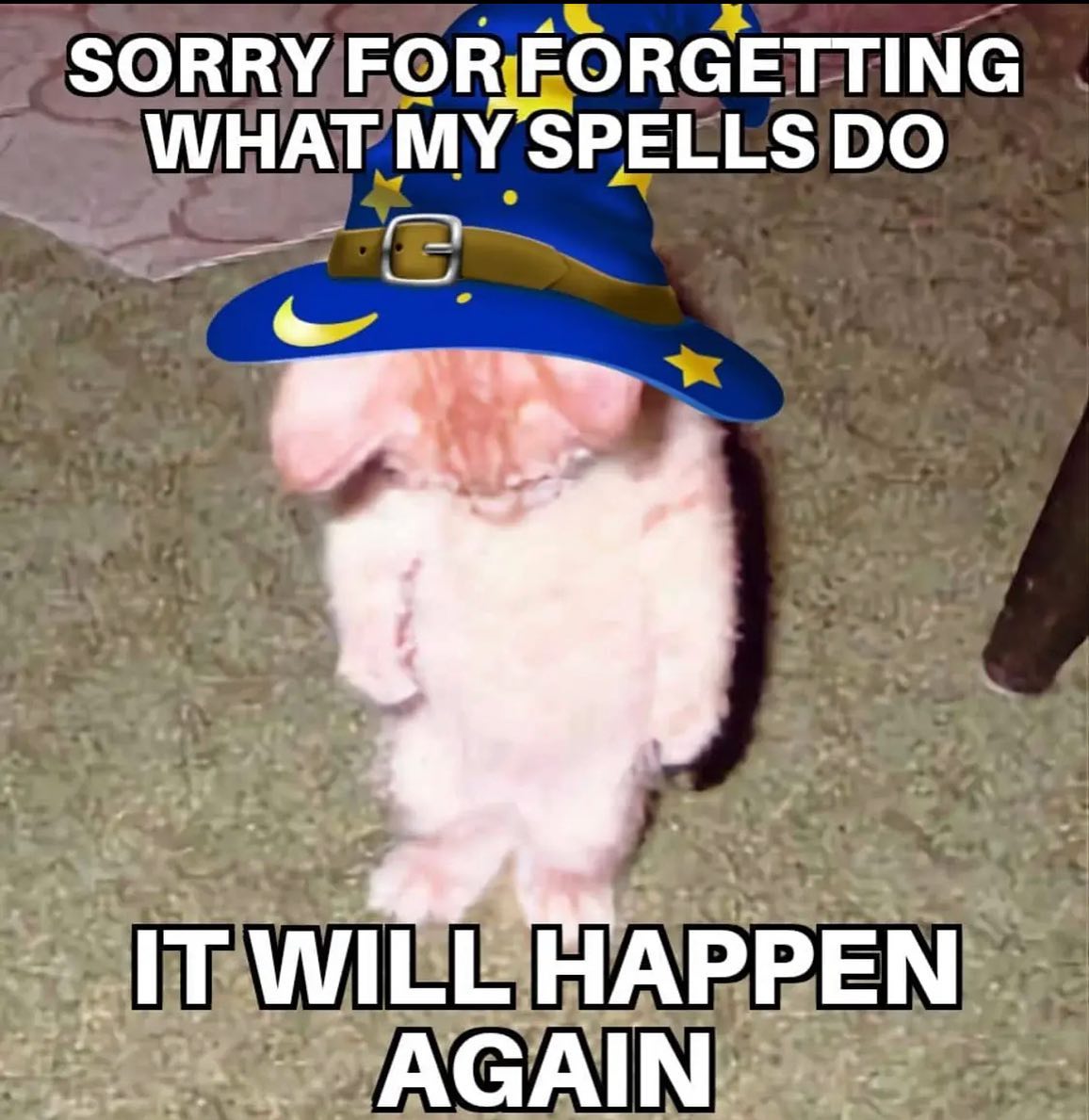 memeslich's tweet image. 