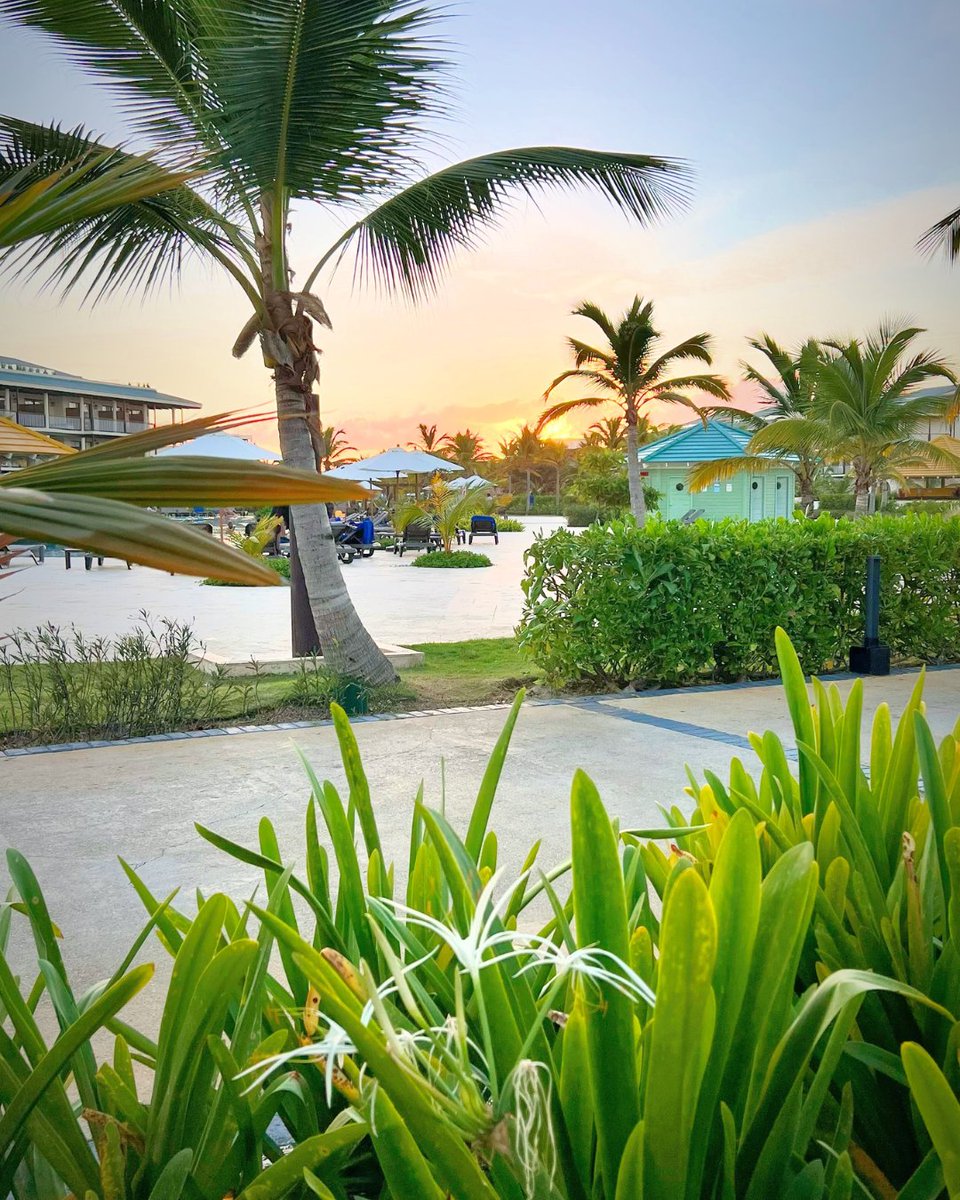 around_esp's tweet photo. Lo sentimos, pero este paisaje NO se puede describir con palabras.
Punta Cana es sol, calor, arena blanca y vibes de verano eterno.

Aquí se viene a disfrutar, a dormir poco y a reír mucho.
📲 Entra en https://t.co/XZGUK5FN6B y que empiece la aventura. https://t.co/oCeCFlM5OO