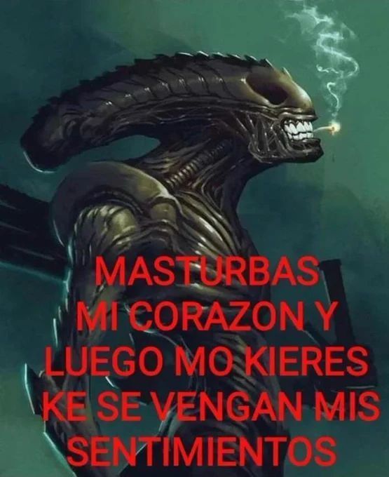 wikipistacho's tweet photo. https://t.co/qa48w8NZvQ