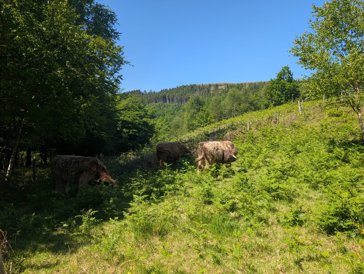 Dylan's Tours of Wales (@toursofwales) on Twitter photo Diwrnod hyfryd draw yn #YstâdyrHafod ger #Aberystwyth
Llwybrau gwahanol i bawb 👍
Diolch <a href="/NTCymru_/">National Trust Cymru</a> <a href="/nationaltrust/">National Trust</a> Diwrnod hyfryd draw yn #YstâdyrHafod ger #Aberystwyth
Llwybrau gwahanol i bawb 👍
Diolch <a href="/NTCymru_/">National Trust Cymru</a> <a href="/nationaltrust/">National Trust</a>