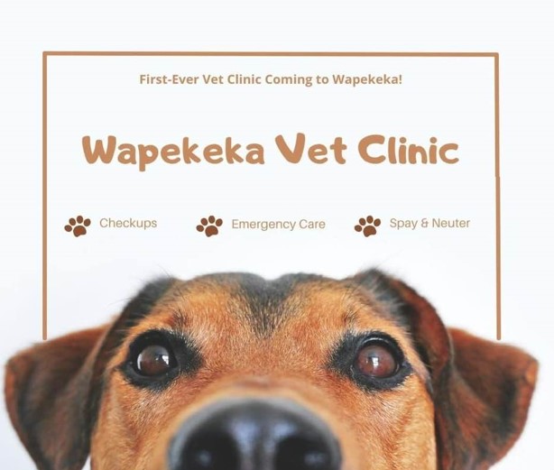 JessicaAyla's tweet photo. Wapekeka First Nations is hosting its first Vet Clinic this Fall! Please take time to look, share &amp; donate for our doggos https://t.co/2jA4tmM35S #rezdogs #saverezdogs #wapekeka #wapekekafirstnations #anglinglake #anglinglakefirstnations #anglinglakeontario #ontariocanada #canada https://t.co/Twyw9IZFBz