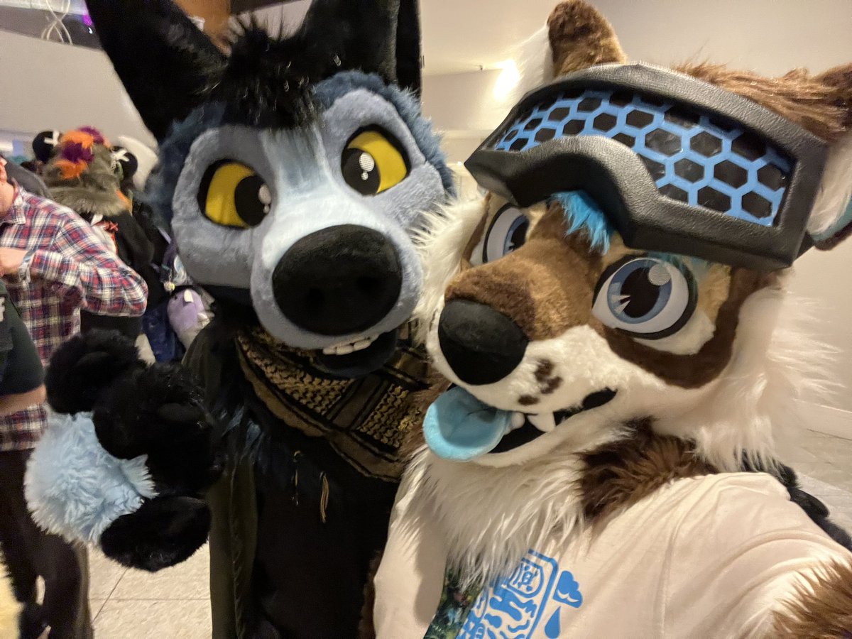 Seal 🔜 FWA (DJING SILENTDISCO) tweet media