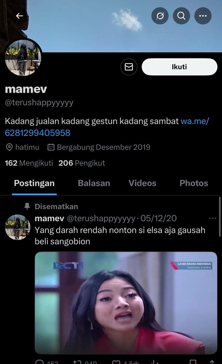 ✨ tweet media