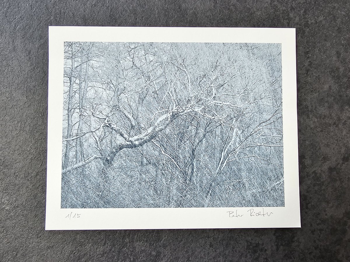 New MAKEBOOK title now available to order!

"MOMENTS WITH TREES" By Austrian Photographer Peter Richter.

Standard &amp; Collectors Editions available.

Designed and Artworked by Peter using MAKEBOOK 📸

Order through the MAKEBOOK Store section on our website 🙌

#MAKEBOOK #Photobook