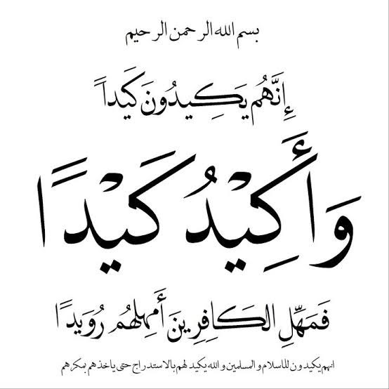 Mohib e Watan tweet media