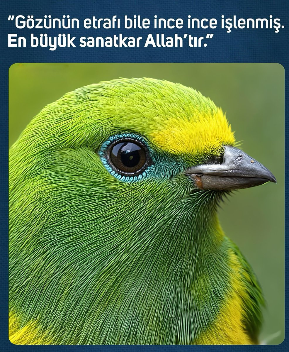 Hayalhanem (@hayalhanemersin) on Twitter photo 