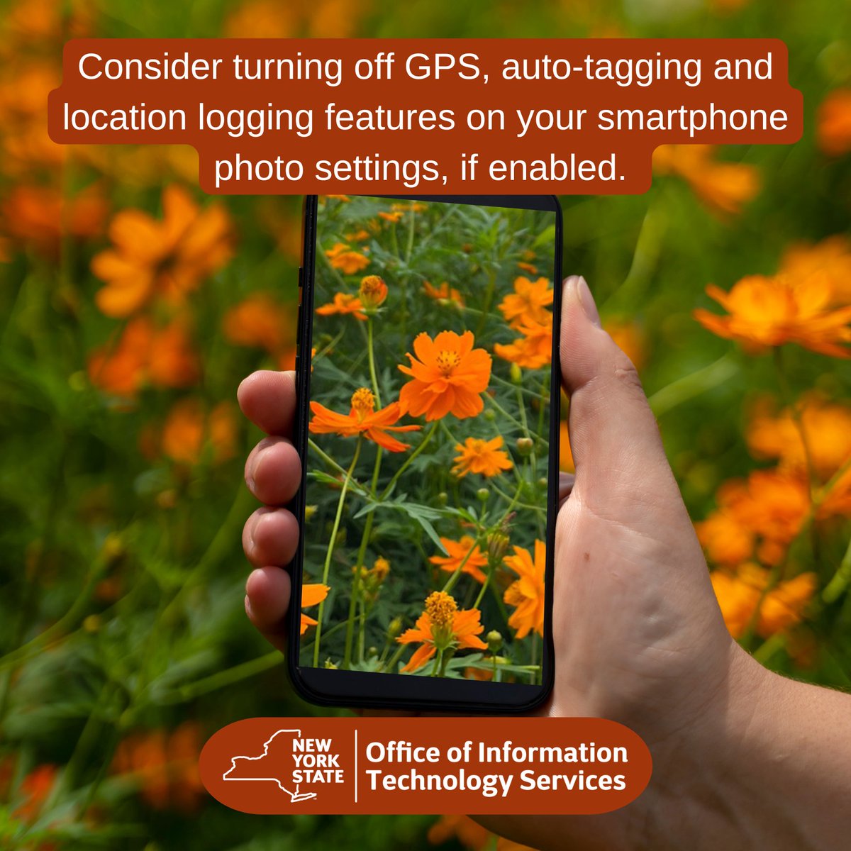NYSITS's tweet photo. #ToolTipTuesday Spring is a wonderful time to take photos outside, but if you post them on social media, you could share personal information unintentionally. Consider turning off GPS, auto-tagging and location logging features on your smartphone photo settings, if enabled. https://t.co/QltiCIke4O