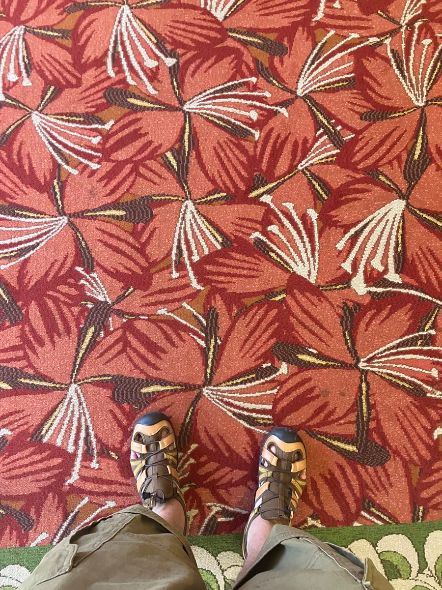 Airport HoDL🍐 tweet media